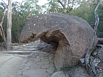 Zatoulaný Moeraki boulder? :-)